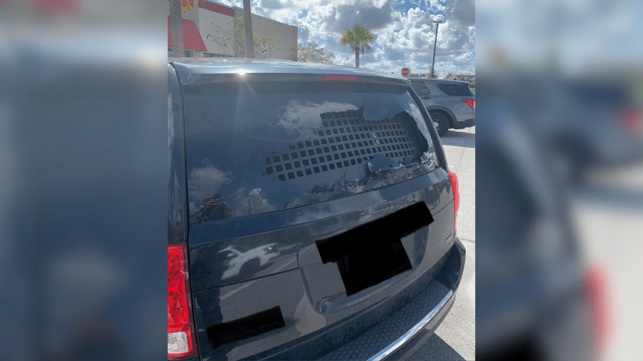 Florida boy throws rocks at ICE vehicle after father arrested: police