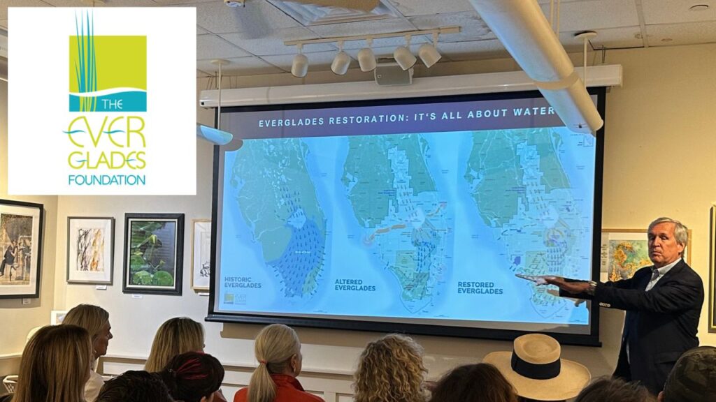 Everglades Foundation reports multiple conservation gains in recent months