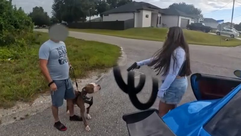 Florida woman caught on camera pointing gun at family in ‘street assault’ incident: law enforcement officials
