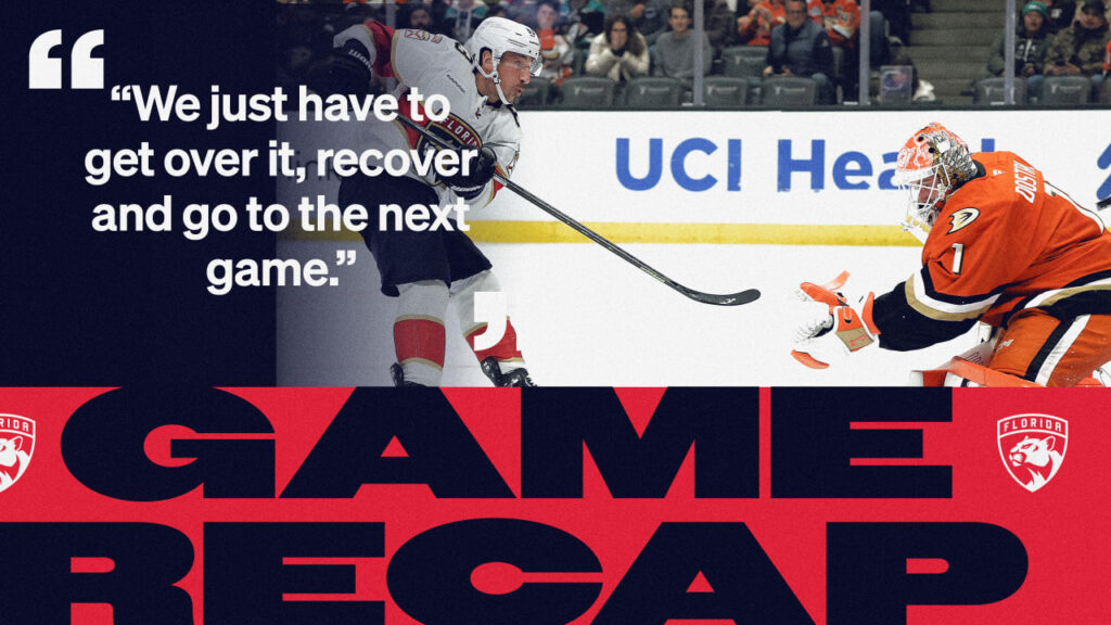 Summary: Ducks 7, Panthers 3