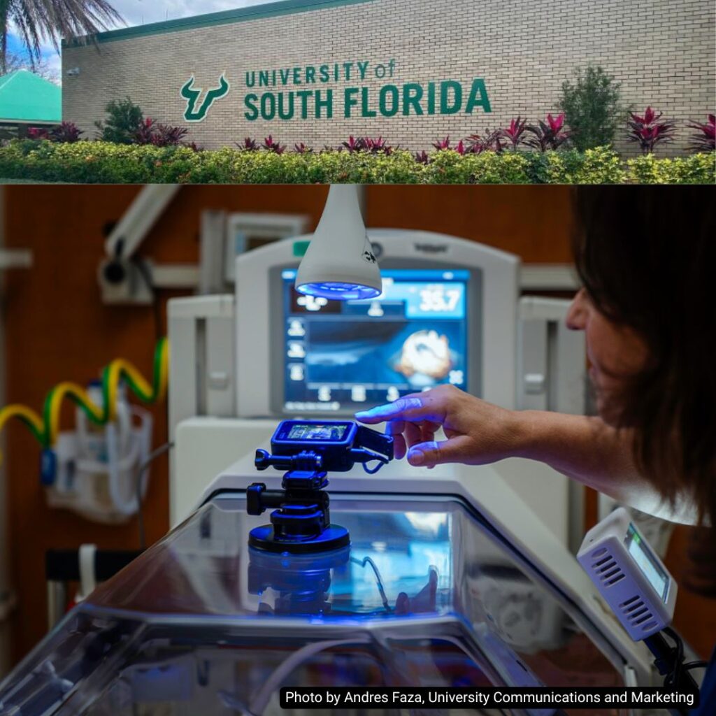 University of South Florida outperforms peer institutions and ranks high in national research rankings