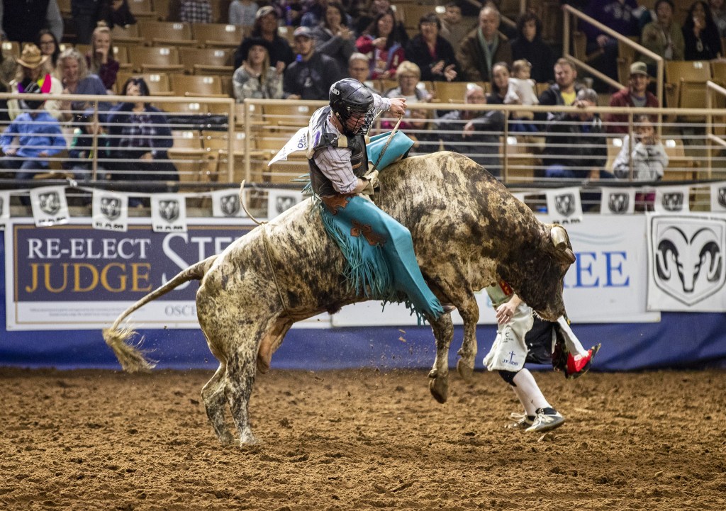 156th Annual Silver Spurs Rodeo Brings Bulls to Kissimmee