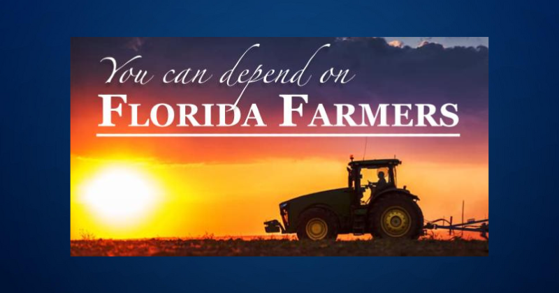 Florida Agriculture Commissioner provides assistance to Florida farmers, ranchers, and producers