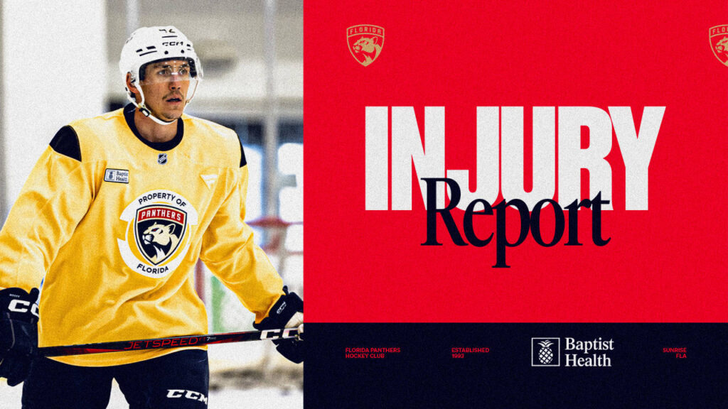 Latest information on Kulikov, Nosek and other injured Panther players