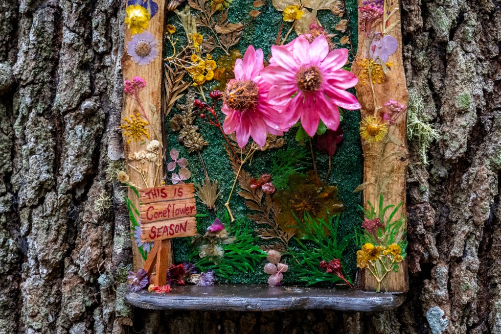 Fairy doors return to bring magic to Lou Gardens