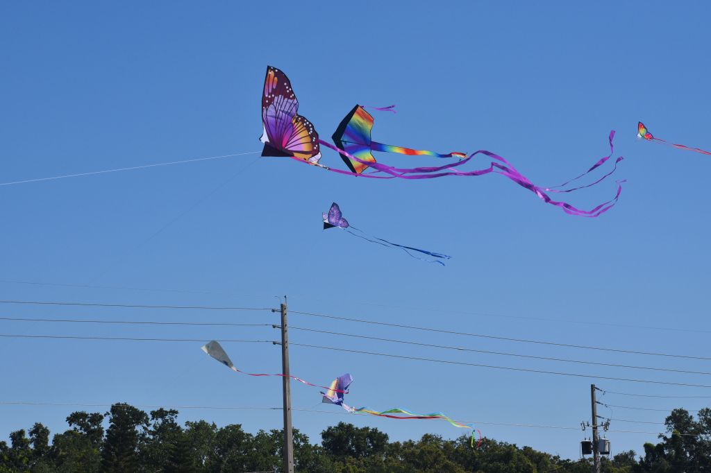 Orlando Kite Festival brings lots of family fun and STEM concepts for kids – Orlando Sentinel
