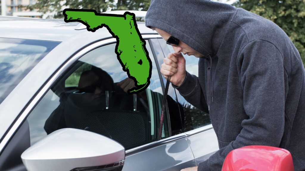 Vehicle theft reduced by almost 50% in Florida