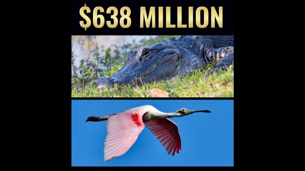Florida receives $638 million from the Legislature for Everglades restoration