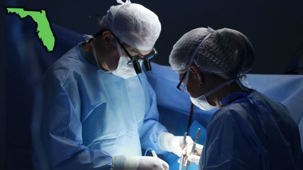 Most Popular Plastic Surgery Surgery in Florida