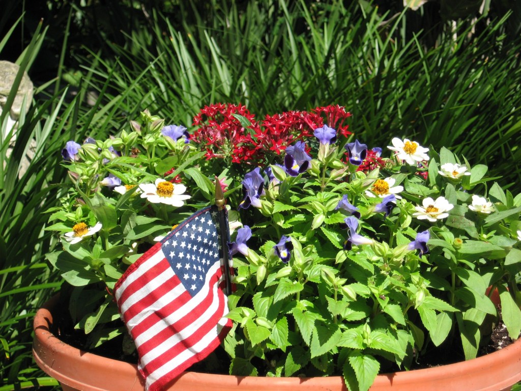 Celebrate America with a patriotic container garden